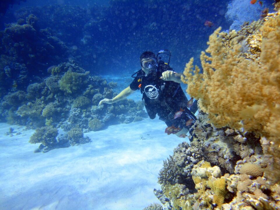 Kemer Çıkışlı Dalış Turu