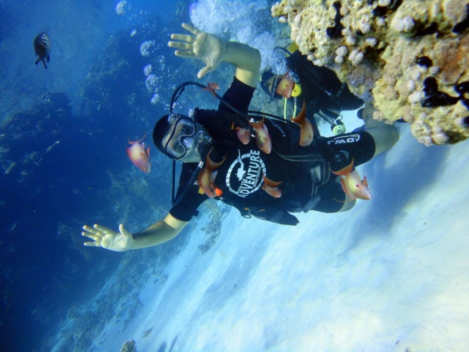 Antalya Sıçan Adası Dalış Turu