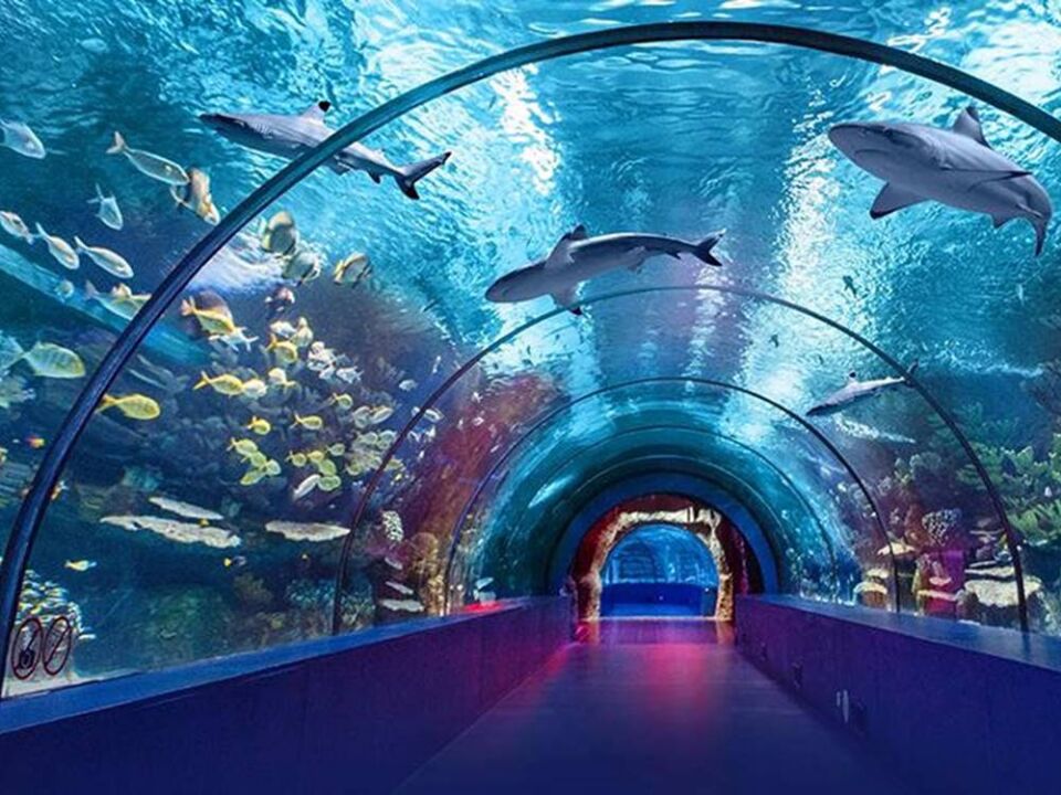 Kemer Çıkışlı Antalya Akvaryum Turu