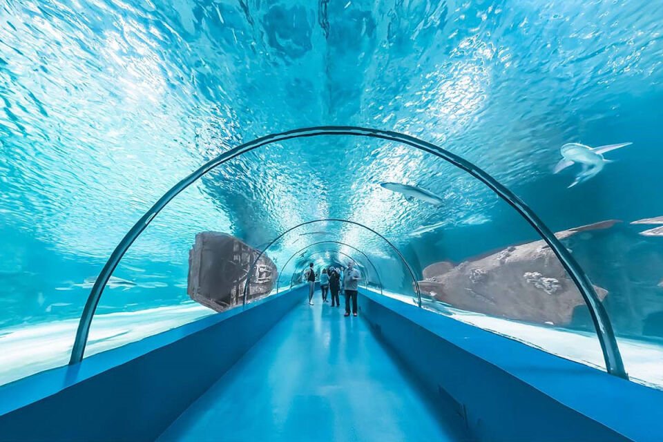Kemer Çıkışlı Antalya Akvaryum Turu