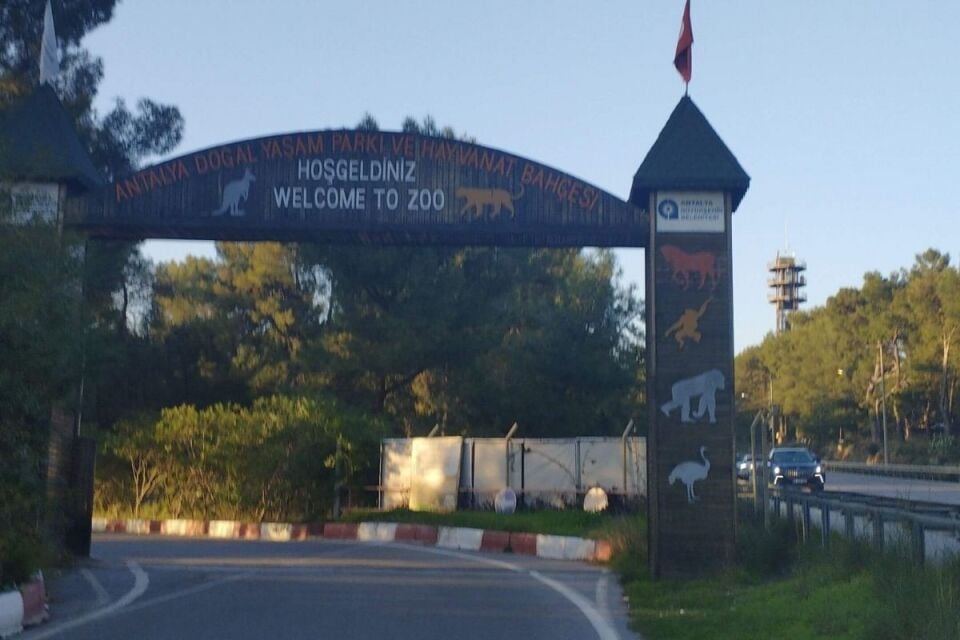 Kemer Çıkışlı Antalya Hayvanat Bahçesi Turu