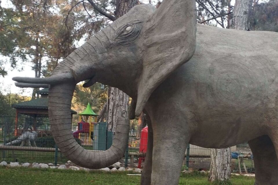 Kemer Çıkışlı Antalya Hayvanat Bahçesi Turu